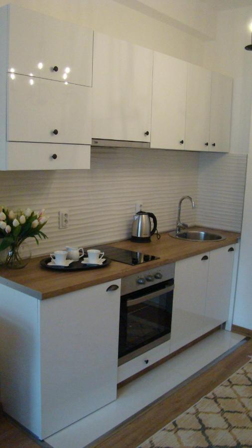 Gagovic Apartment Cetinje Bagian luar foto